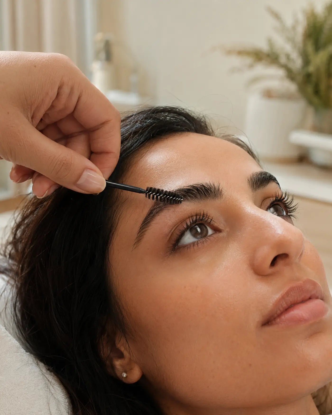 Lashes & Brows home beauty service